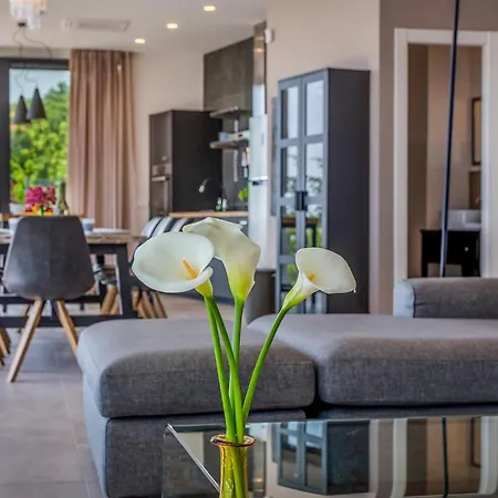 The View * أوباتيا